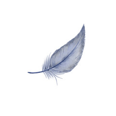 Feather made in digital watercolor.Isolated on white.Looks good in an Easter theme, boho style.Design for T-shirt, invitation, wedding card.