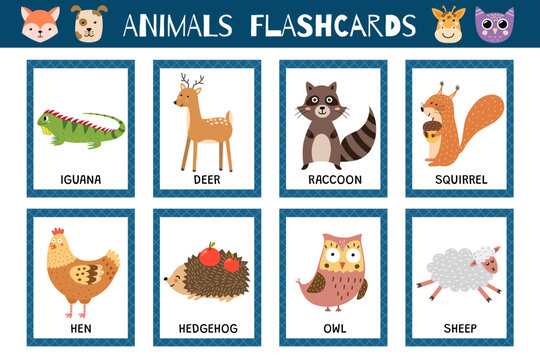 Animals flashcards collection for kids. Flash cards set with cute characters for practicing reading skills. Iguana, hedgehog, hen and more. Vector illustration