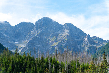 mountain view forest landscape Poland Zakopane