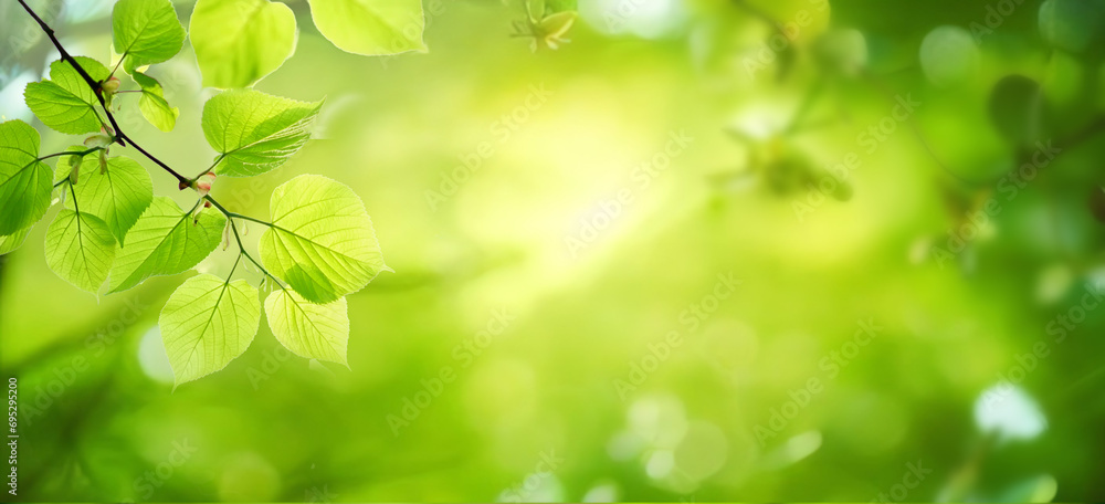 Poster beautiful natural spring summer defocused background with fresh lush foliage and bokeh in nature.