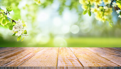 Spring beautiful background with green lush young foliage and flowering branches with an empty wooden table on nature outdoors in sunlight in garden. - obrazy, fototapety, plakaty