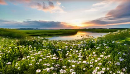 Foto op Aluminium Beautiful summer spring natural landscape with lake and wildflowers at sunset. © Laura Pashkevich