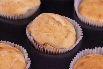 baked delicious and fresh cupcakes in cupcake molds