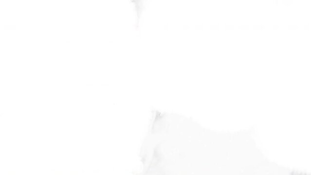 Ink Transitions on Black Background for Motion Graphic Purpose Type 02