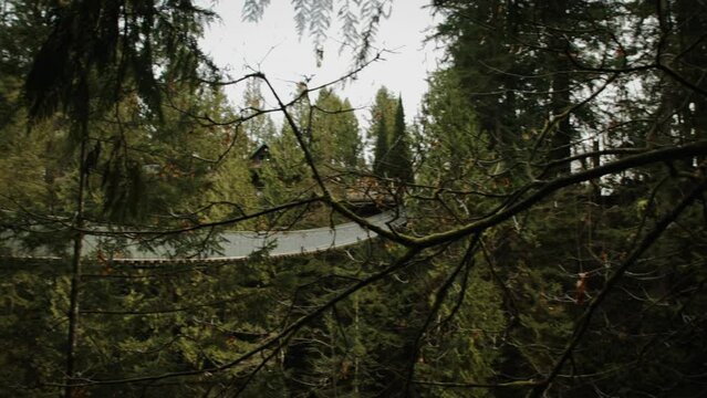 Capilano Suspension Bridge in Vancouver, Canada