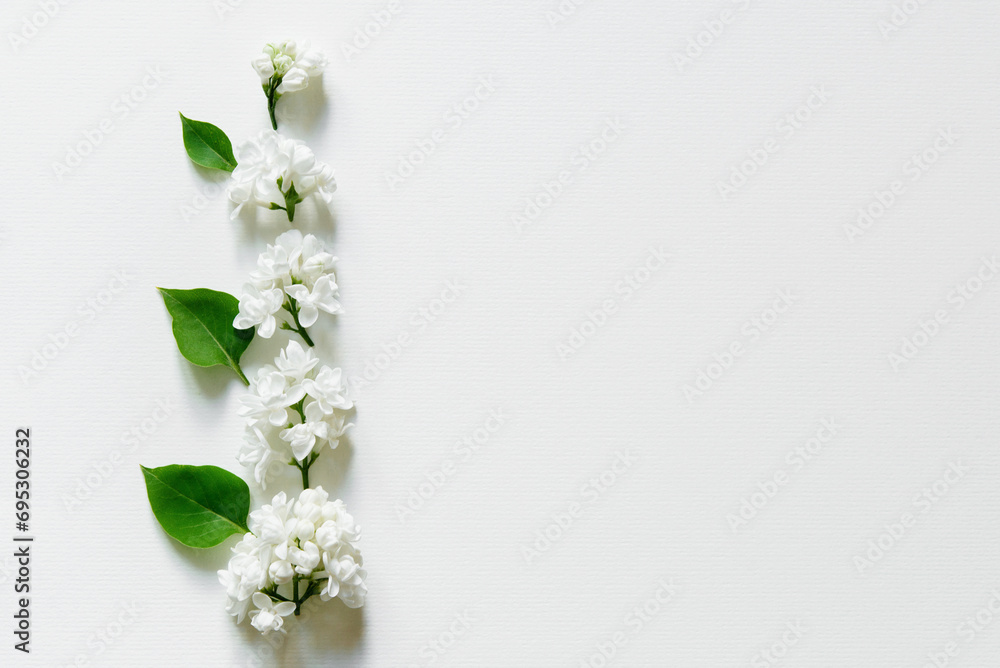 Wall mural Empty card mockup, minimalist floral decor of white lilac and green leaves on white paper background, Template for congratulations or invitations.