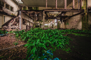 Fototapeta na wymiar The abandoned rotten factory