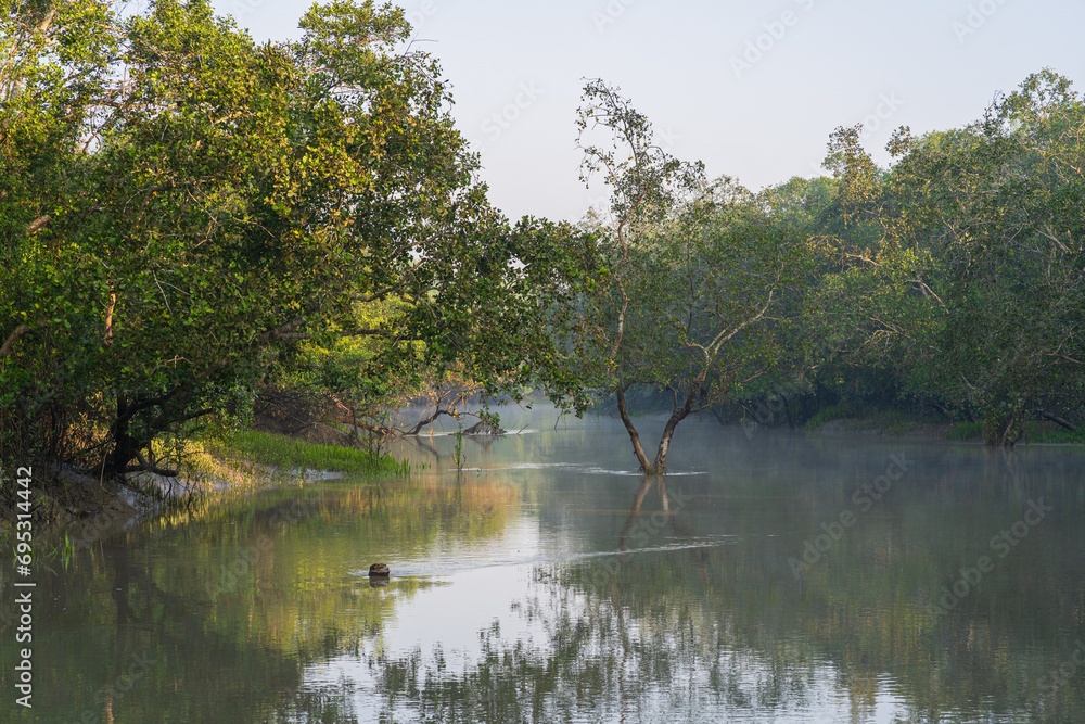 Wall mural peaceful morning landscape view of mangrove forest with reflection in water in the sundarbans nation