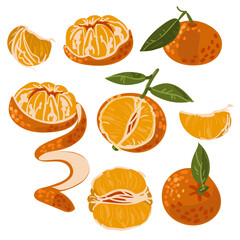 A set of tangerines in different shapes. Slice, whole, peel, half, peel, peel. Isolated vector orange illustrations on a white background. Elements for the sticker. Winter Christmas Citrus Fruit