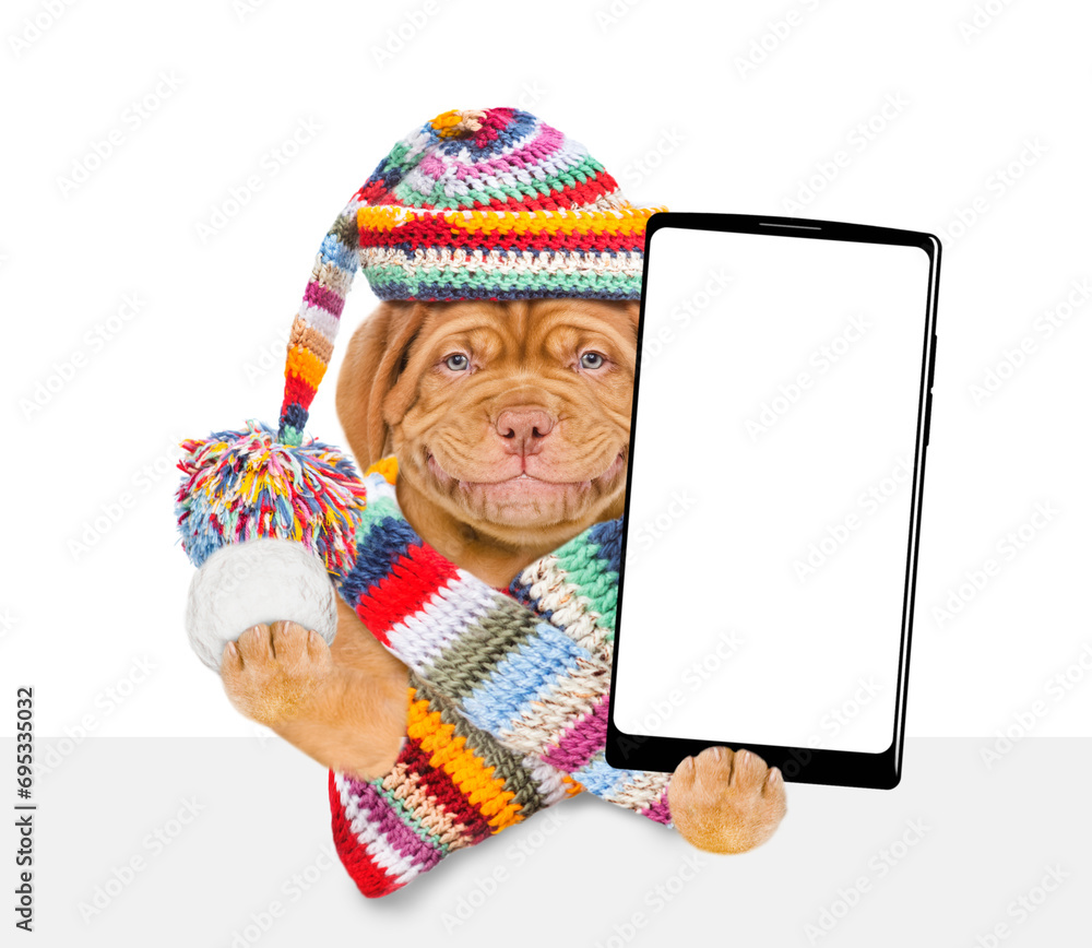 Poster Smiling puppy wearing a warm hat with pompon and knitted woolen scarf holds snowball and holds smartphone with white blank screen in it paw above empty white banner. isolated on white background