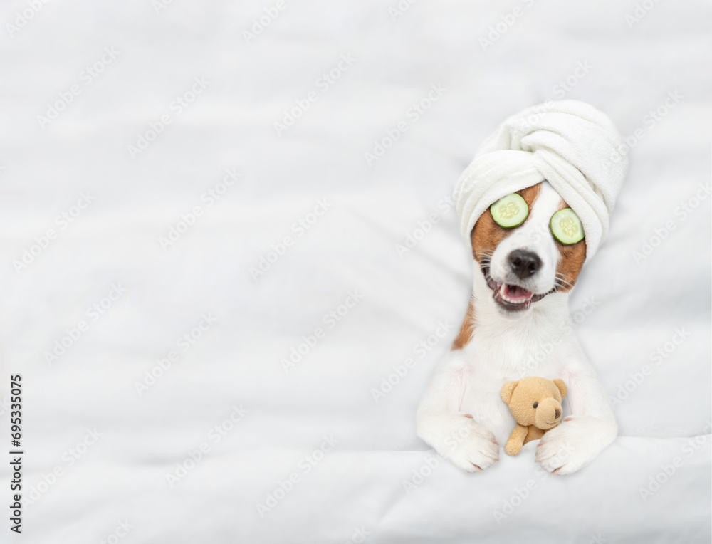 Aufkleber funny jack russell terrier puppy wearing eyeglasses with towel on it head lying on a bed at home and