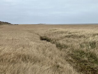 Obraz premium Blick auf die Dünenlandschaft der Ostfriesischen Insel Juist 