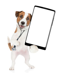 Funny jack russell terrier wearing like a doctor with stethoscope on his neck showing big smartphone with white blank screen in it paw. isolated on white background