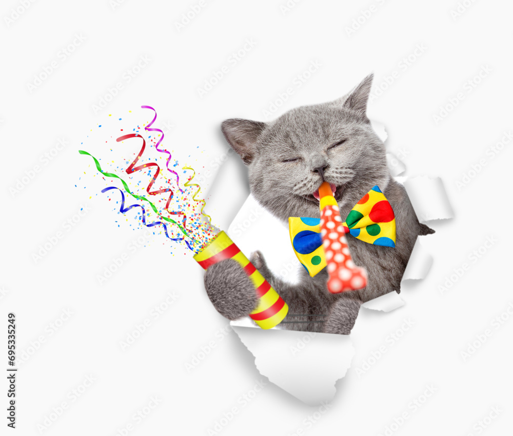 Poster happy cat wearing tie bow looks through the hole in white paper, blows in party horn and holds explo