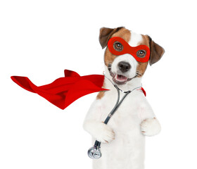 jack russell terrier wearing like a doctor with superhero cape and with stethoscope on his neck...