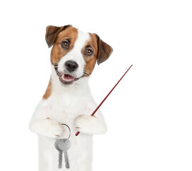 Smart Jack russell terrier puppy holds in his paw the keys to a new apartment and points away on empty space. Isolated on white background