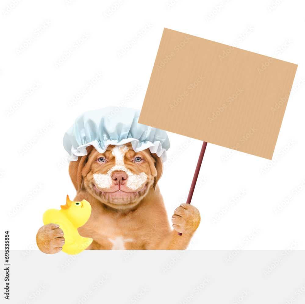 Poster Happy Mastiff puppy wearing shower cap with cream on it face holds empty placard and rubber duck above empty white banner. isolated on white background
