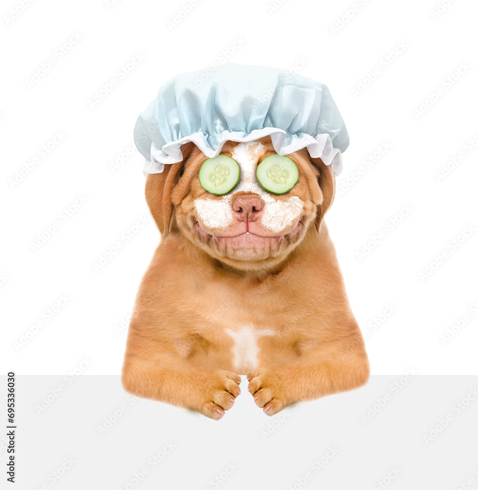 Poster smiling mastiff puppy wearing shower cap, with pieces of cucumber on it eyes and with cream on it fa