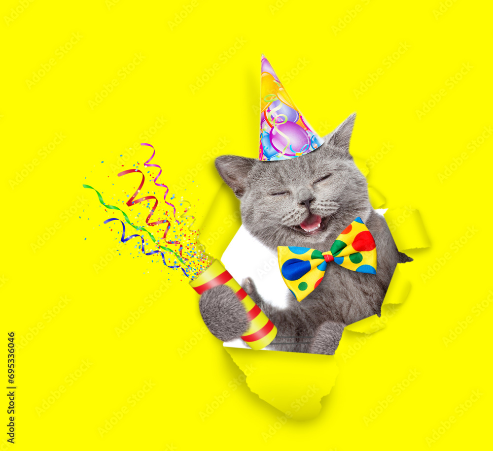 Aufkleber Happy cat wearing wearing party cap and tie bow and looks through the hole in yellow paper and holds exploding firecracker