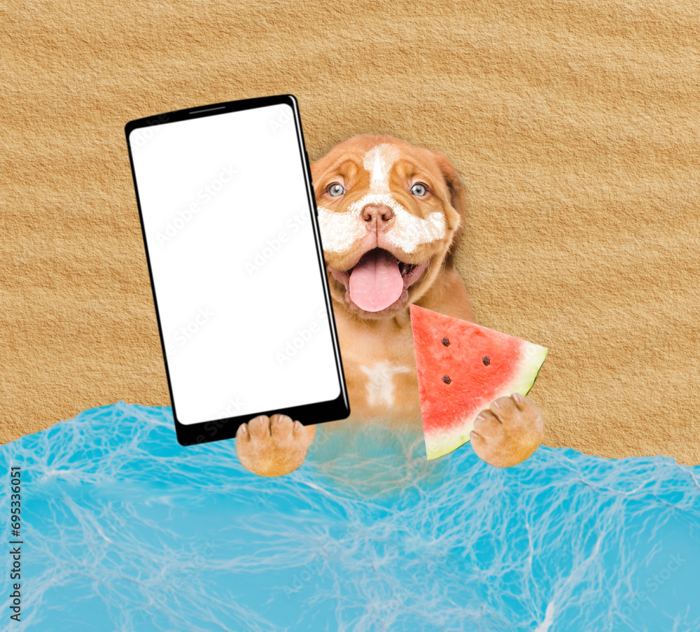 Poster funny mastiff puppy lying at beach with suntan lotion or sun block on it face holding watermelon and