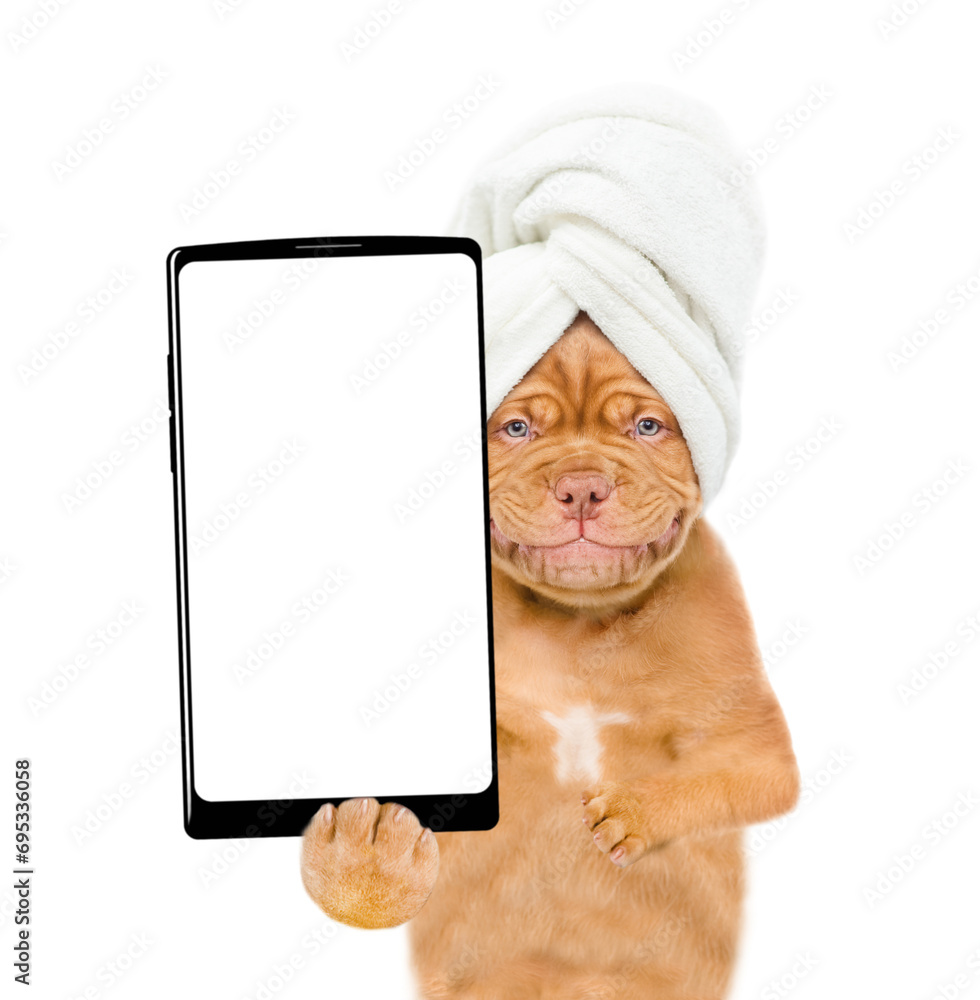 Poster Smiling Mastiff puppy with towel on it head shows big smartphone with white blank screen in it paw. isolated on white background