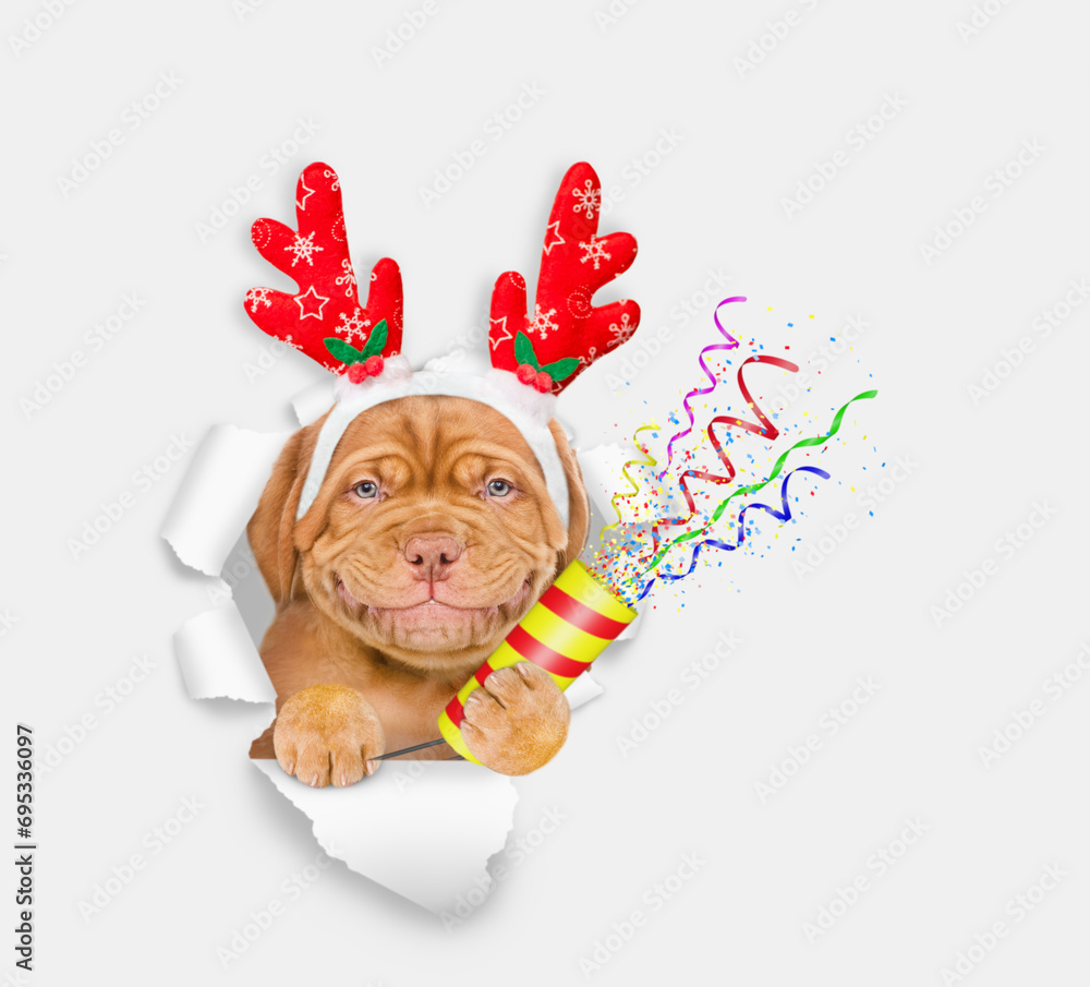 Aufkleber Smiling Mastiff puppy dressed like santa claus reindeer Rudolf looks through the hole in white paper and holds exploding firecracker