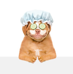 Smiling Mastiff puppy wearing shower cap, with pieces of cucumber on it eyes and with cream on it face looks above empty white banner. isolated on white background