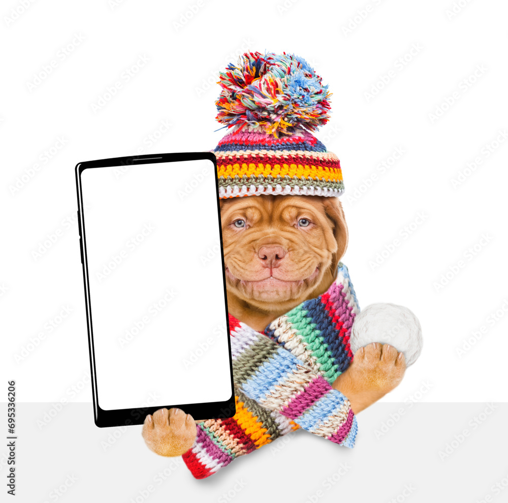 Aufkleber happy puppy wearing a warm hat with pompon and knitted woolen scarf holds snowball and holds smartph