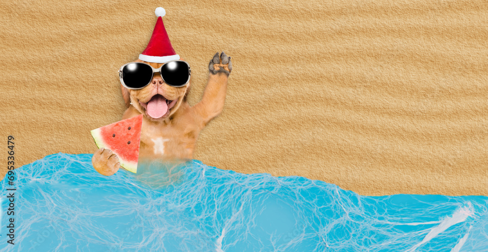 Aufkleber happy mastiff puppy wearing sunglasses and red santa hat lying on sandy tropical beach at ocean and 
