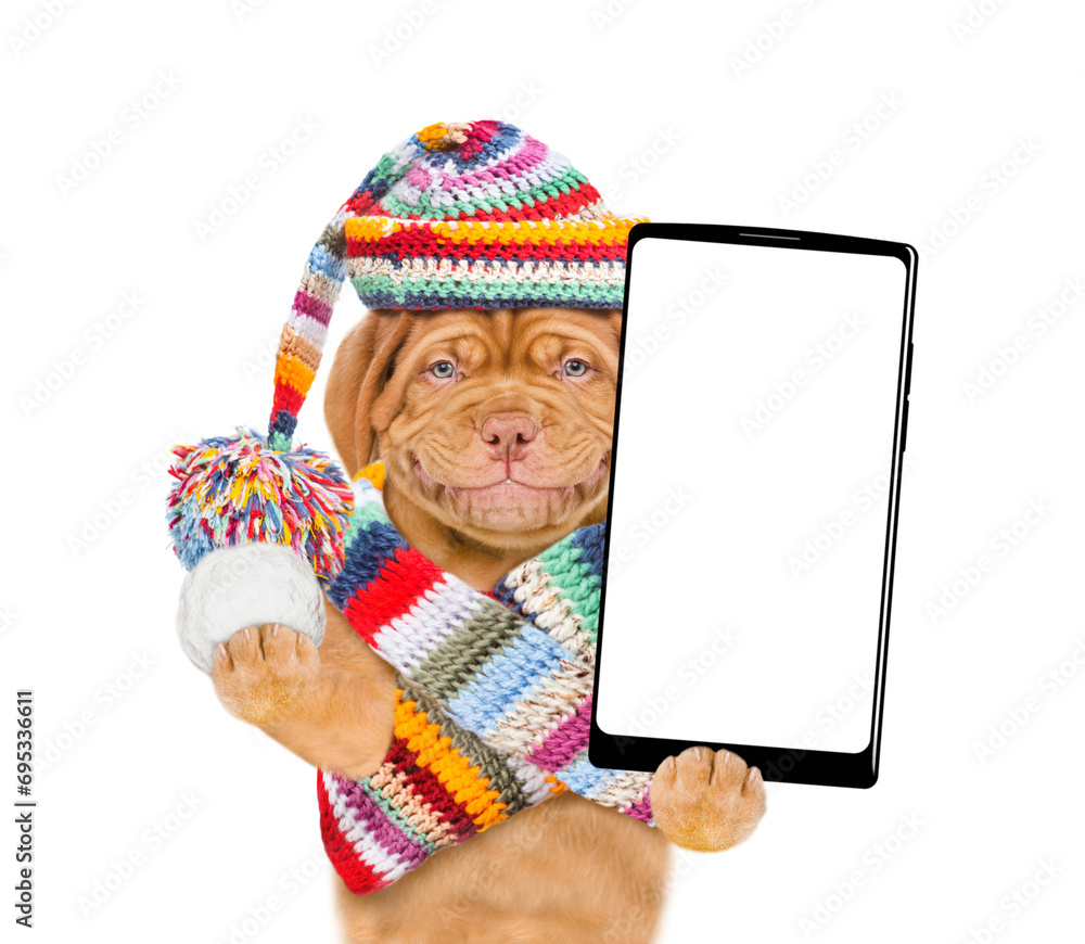 Poster happy puppy wearing a warm hat with pompon and knitted woolen scarf holds snowball and holds smartph