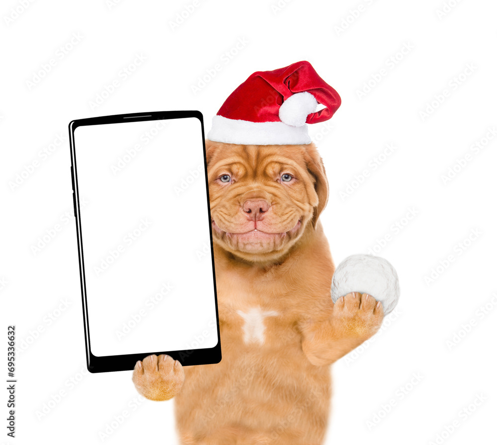 Poster smiling mastiff puppy wearing santa hat holds snowball and big smartphone with white blank screen in