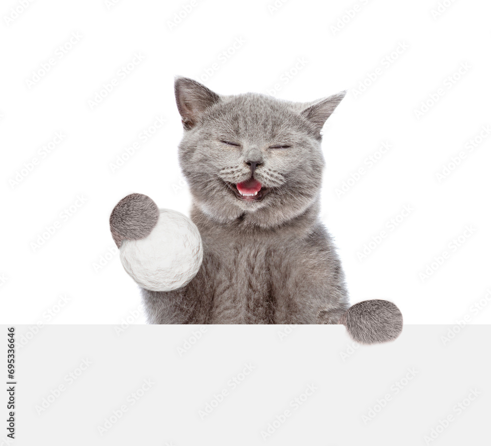 Poster happy cat holds snowball above empty white banner. isolated on white background