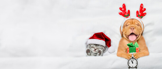 Sleepy mastiff puppy dressed like santa claus reindeer  Rudolf holding gift box and alarm clock and...