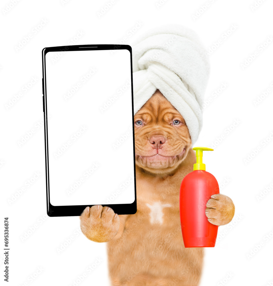 Poster Smiling Mastiff puppy with towel on it head holds flea shampoo  and big smartphone with white blank screen in it paw. isolated on white background