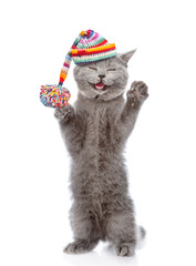 Happy kitten wearing a warm hat and knitted scarf standing on hind legs and looking at camera. isolated on white background