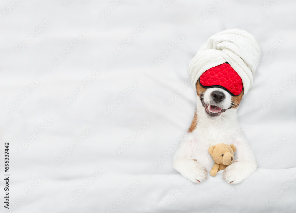 Poster jack russell terrier puppy wearing towel on it head and sleeping mask sleeps with toy bear under whi