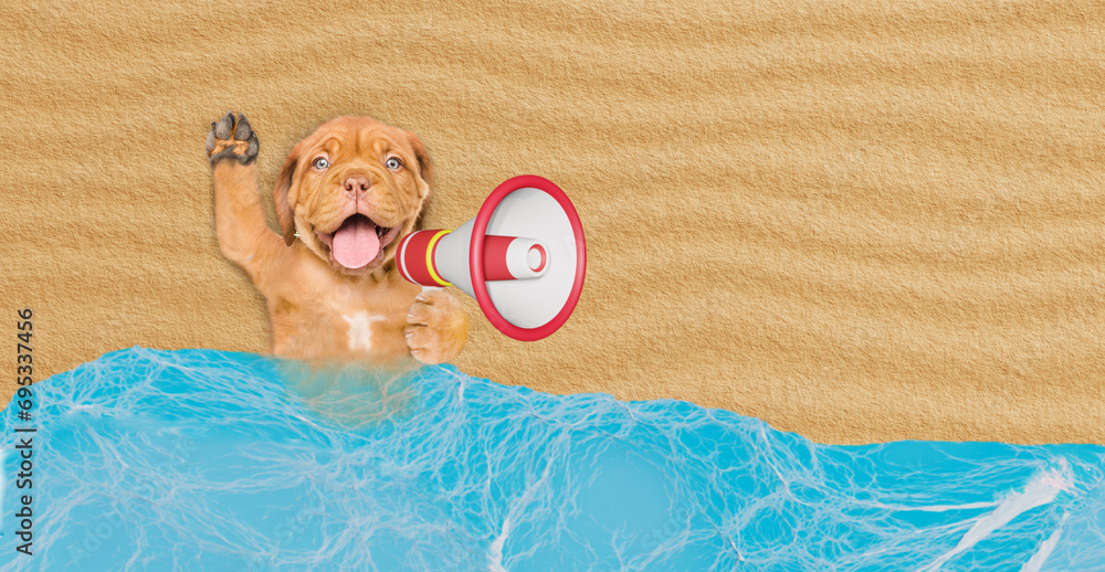 Poster happy mastiff mastiff puppy lying at sunny beach and screaming into a megaphone. empty space for tex