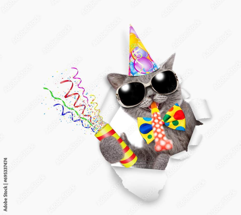 Poster happy cat wearing sunglasses, tie bow and party cap looks through a hole in white paper, blows in pa