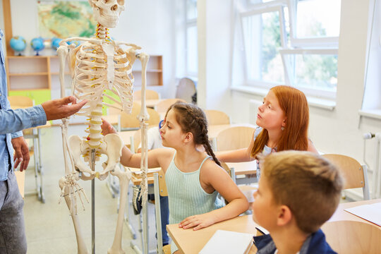 Curious students looking at skeleton in class