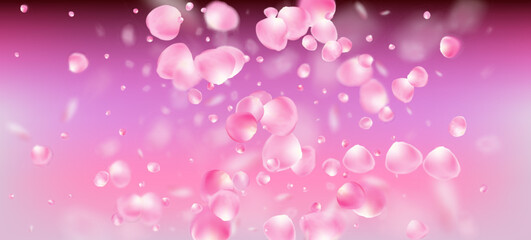 Rose Petals Falling Confetti. Blooming Cosmetics Ad Noble Floral - 695343259
