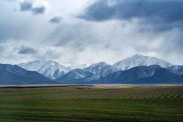 Naklejka premium qilian mountains in China