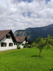 Fototapeta na wymiar Alpine village, mountain background. Wooden houses in Hallstatt, Austria. Austrian Alps. Green mountains, blue sky, green grass. Village in the mountains.
