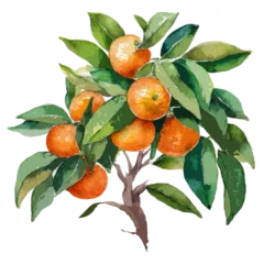 Foto op Plexiglas Watercolour close-up of tangerine tree with mandarins ai  © Lady_Tama_studio