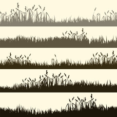 Meadow silhouettes with grass, plants on plain. Panoramic summer lawn landscape with herbs, various weeds. Herbal border, frame element. Brown horizontal banners. Vector illustration - obrazy, fototapety, plakaty