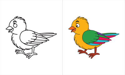 Colored bird sparrow  beautifull bird 