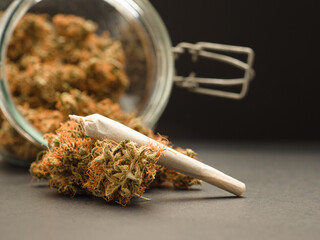 Dry and trimmed cannabis buds out of a glass jar with a cone on a gray background