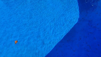 Swimming pool with blue bottom filled with water and a tree leaf floating on the surface.