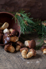 Imleria Badia or Boletus badius mushrooms commonly known as the bay bolete and clay bowl with mushrooms on vintage wooden background.