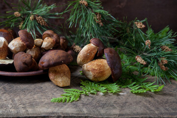 Imleria Badia or Boletus badius mushrooms commonly known as the bay bolete and clay plate with...