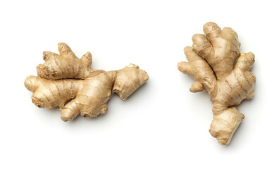 Ginger root collection isolated on white